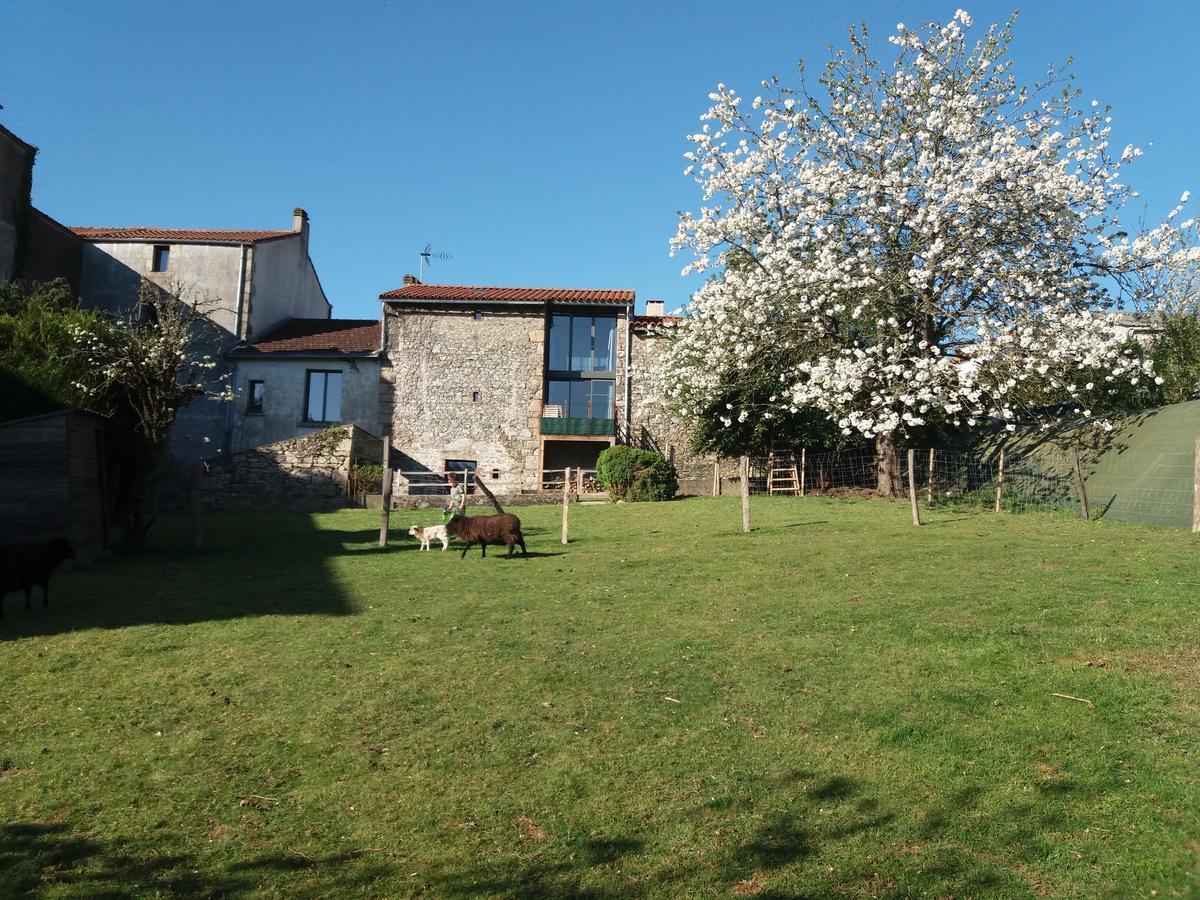 Maison De Vacances Chateaumur Экстерьер фото